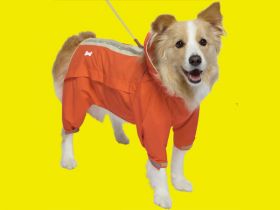 Áo thể thao cho cún 05